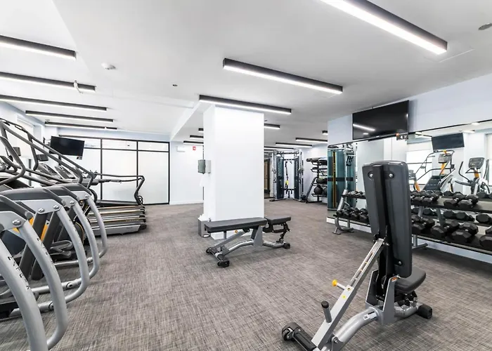 Loop 1br W Lounge Gym Roof Nr L Chi-692 Apartment *