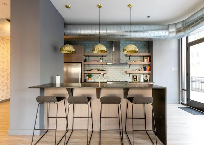Loop 1br W Lounge Gym Roof Nr L Chi-692 Apartment Chicago
