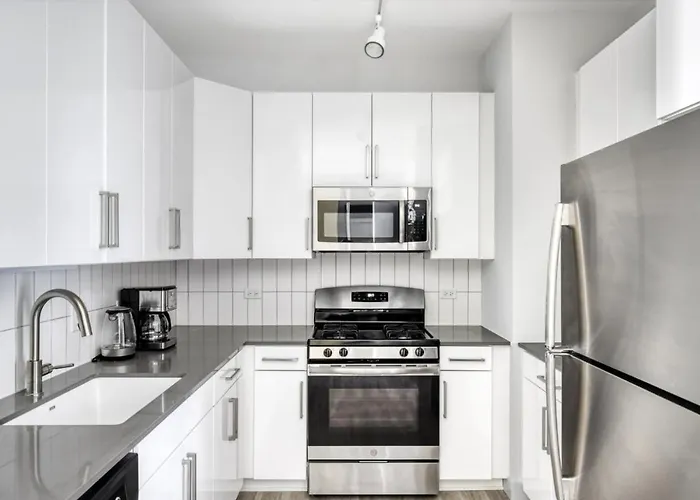 Apartment Loop 1br W Lounge Gym Roof Nr L Chi-692 Chicago