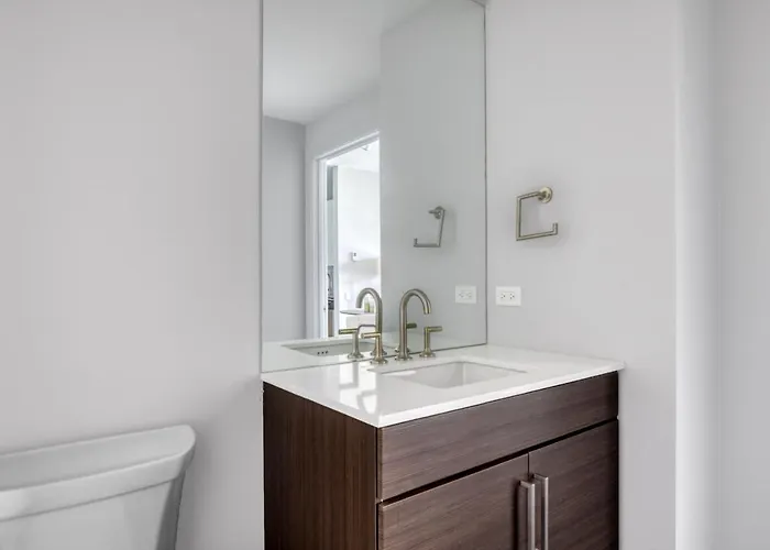 Apartment Loop 1br W Lounge Gym Roof Nr L Chi-692
